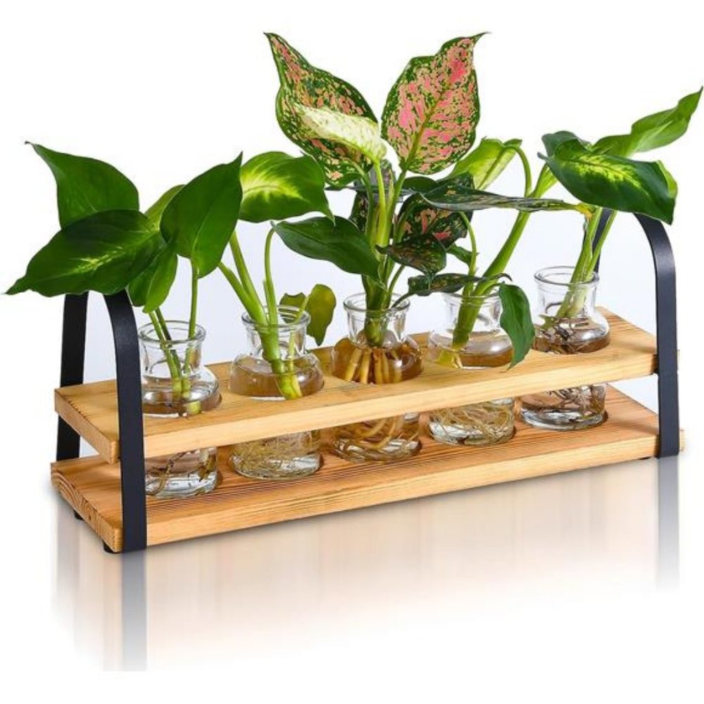 Plant Propagation Stations with Wood Stand